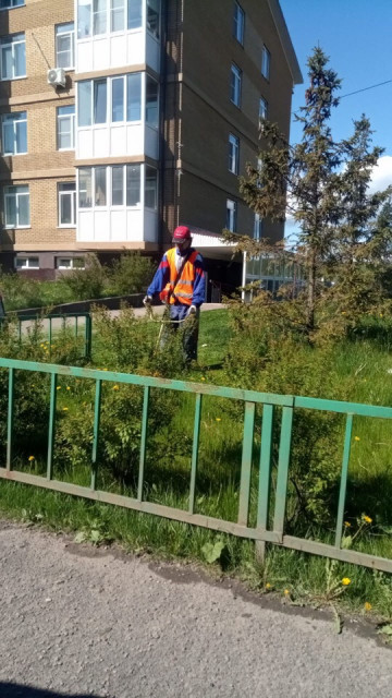 На страже чистоты!