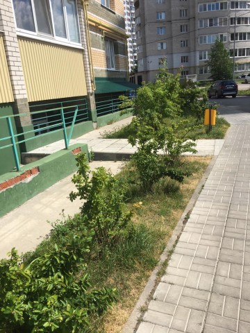 Калуга. Отчет о проделанной работе за неделю (01.07-04.07):