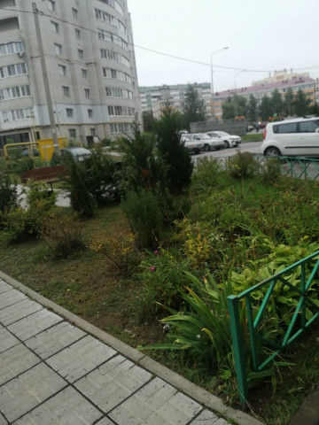 Калуга.  Отчет о проделанной работе за период с 30.08 по 19.09: