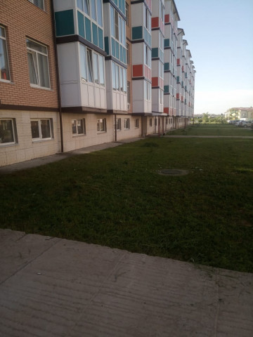 Отчет о проделанной работе за неделю (15.06 -19.06)